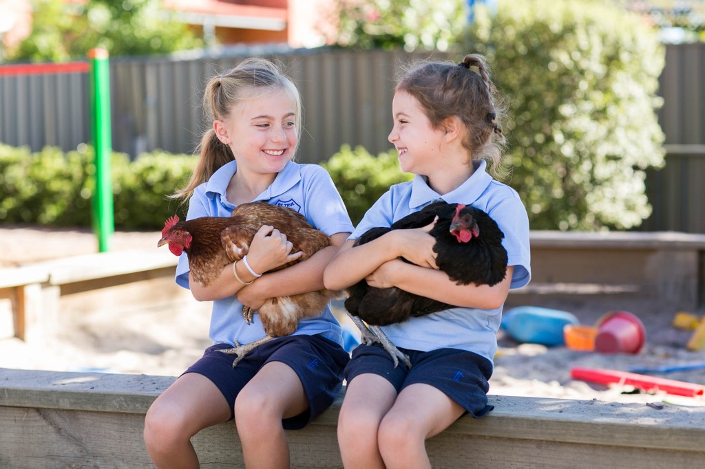 St Francis Primary School Wodonga Learning Area